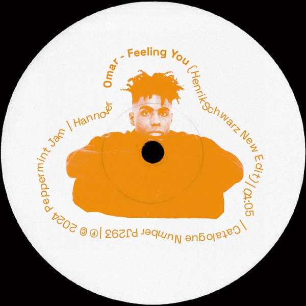 Feeling You (Henrik Schwarz New Edit) - Single album cover