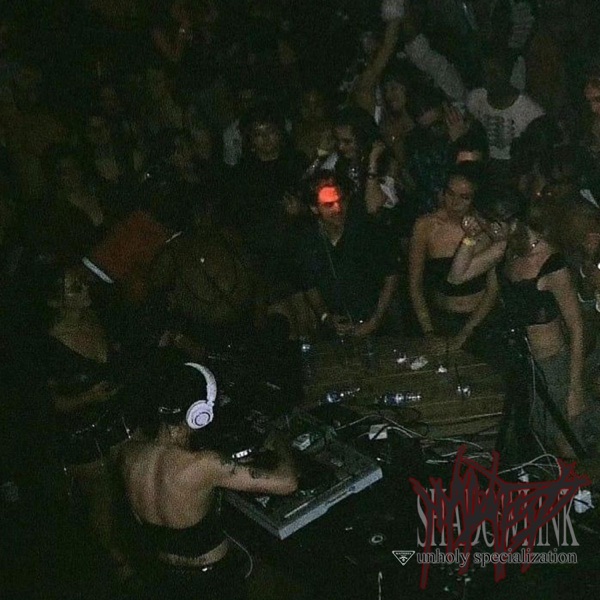 shadowlink: unholy specialization - EP album cover