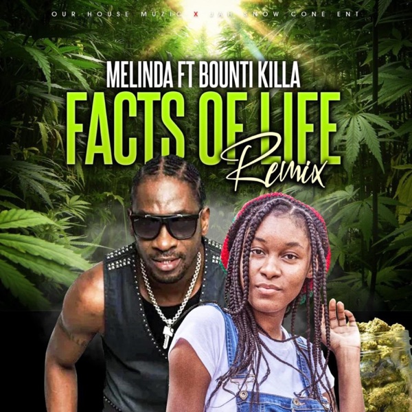Facts of Life (Remix) [feat. Bounty Killer] - Single album cover