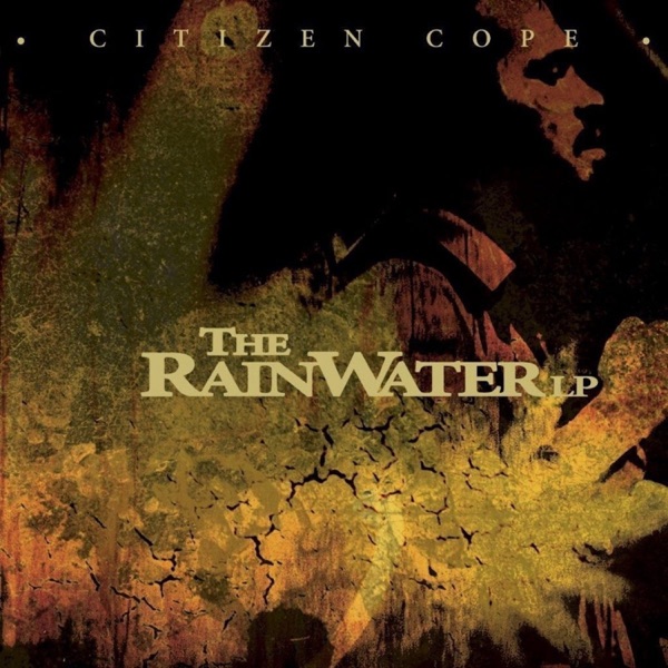 The Rainwater album cover