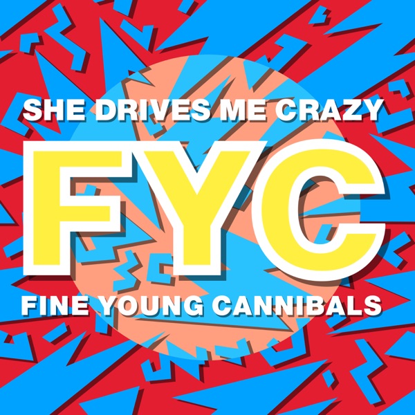 She Drives Me Crazy - Single album cover