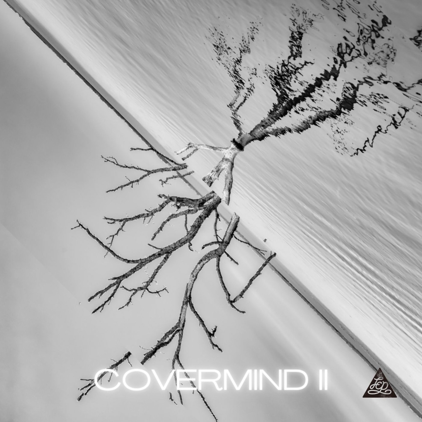 COVERMIND II album cover