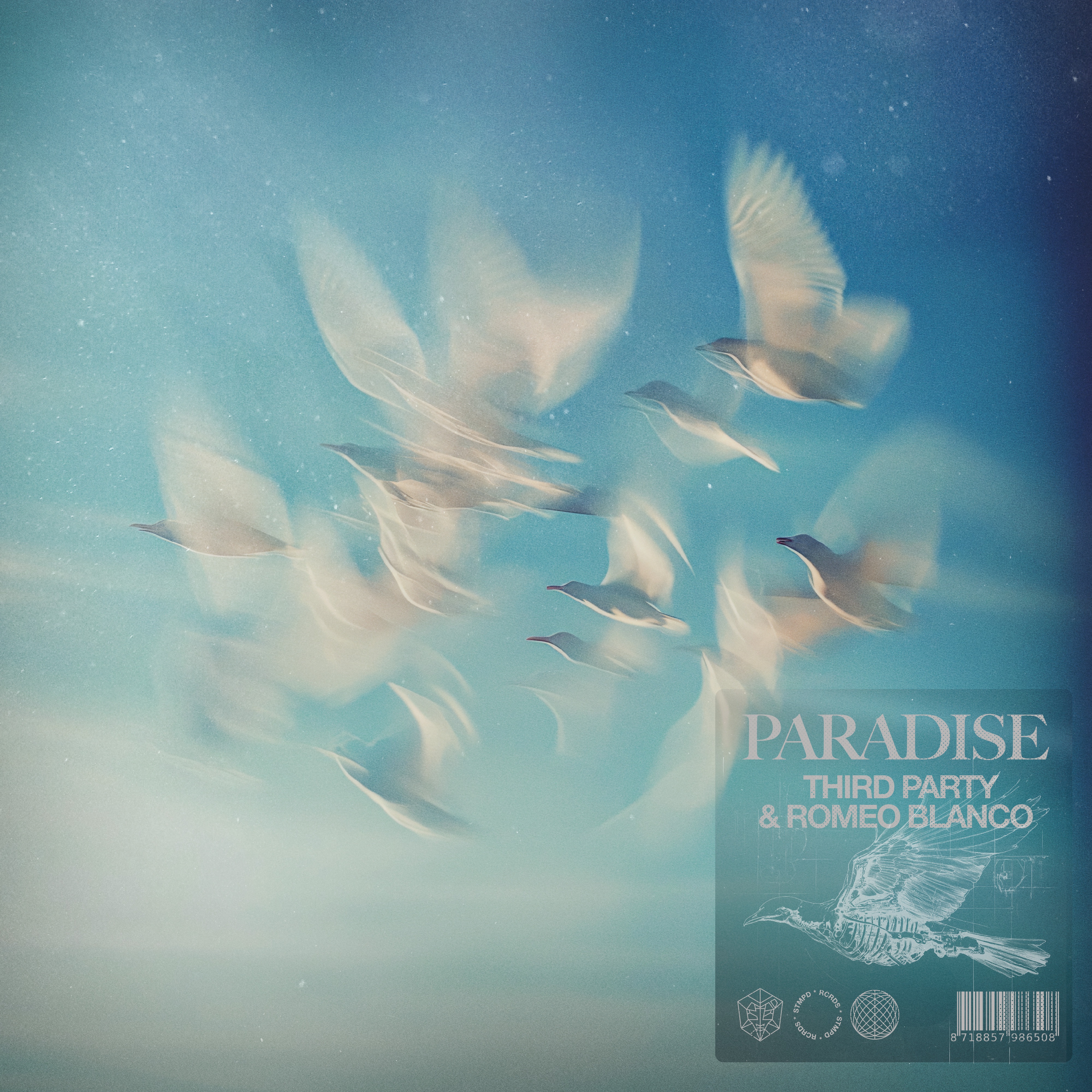 Paradise - Single album cover