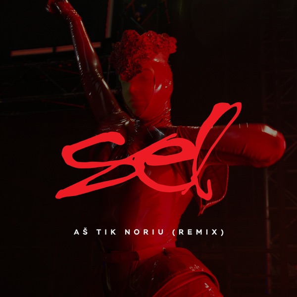 Aš Tik Noriu (Remix 2025) - Single album cover
