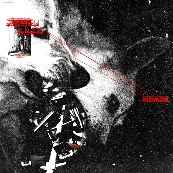 No Love Lost - Single album cover