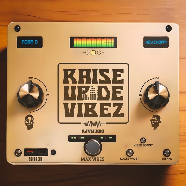 Raise Up De Vibez - Single album cover