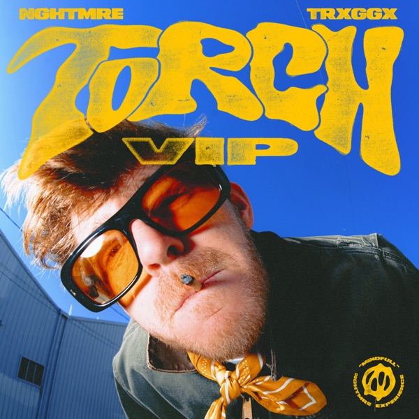 Torch (VIP) - Single album cover