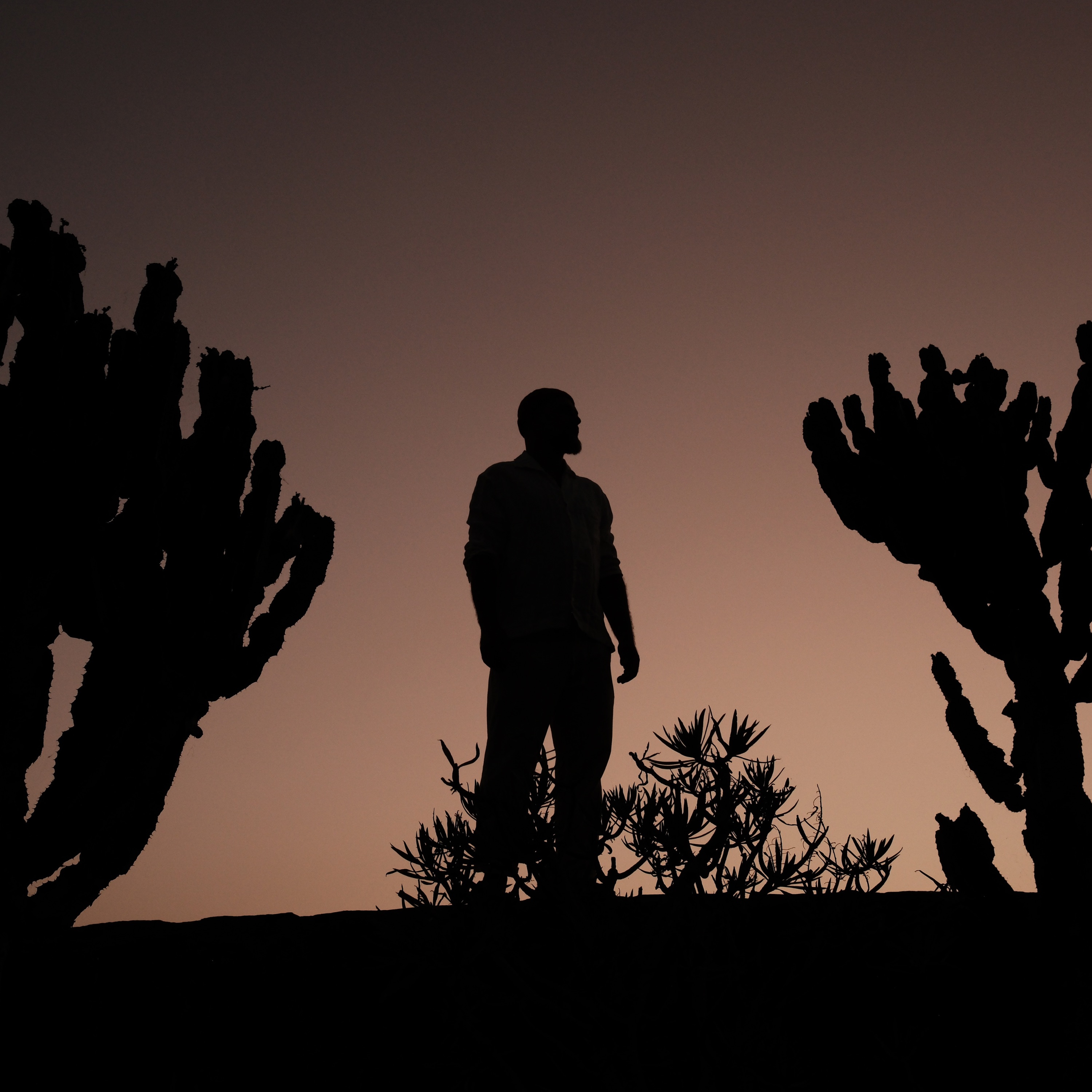 Na dystans - Single album cover