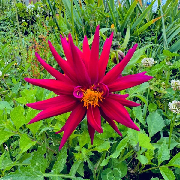 Reverie - Single album cover