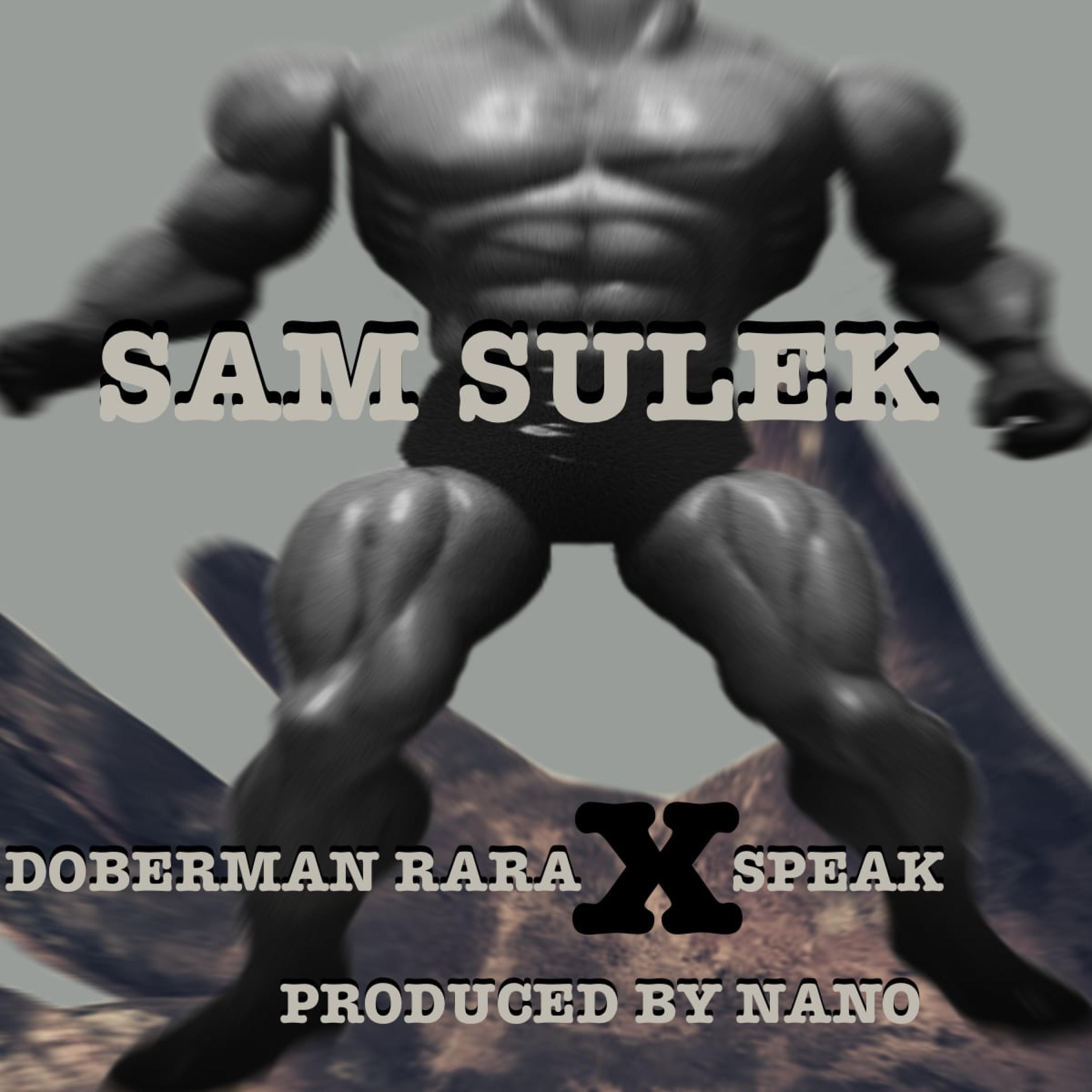 SAM SULEK (feat. SPEAK) - Single album cover