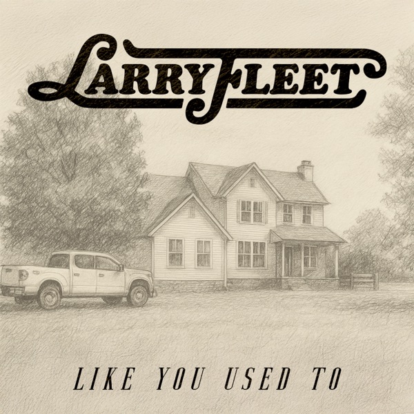 Like You Used To - Single album cover