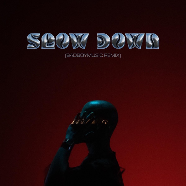 Slow Down (feat. Dawn Richard) [SADBOYMUSIC Remix] - Single album cover