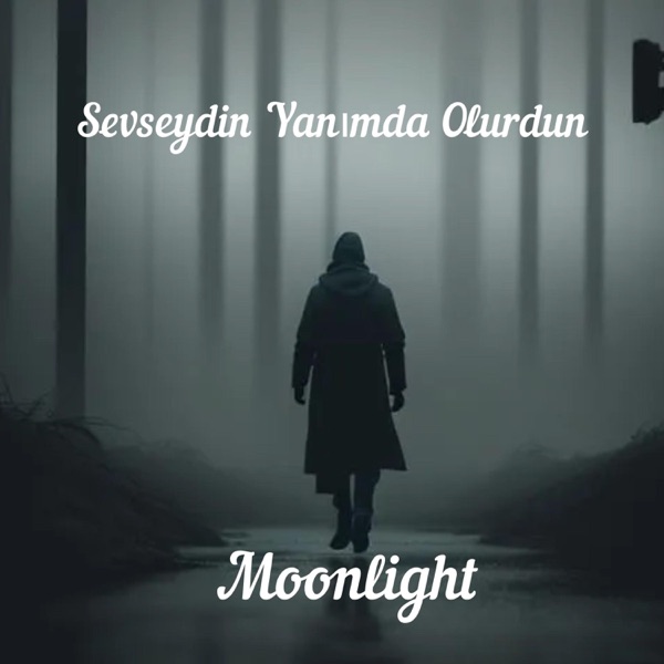 Sevseydin Yanımda Olurdun - Single album cover