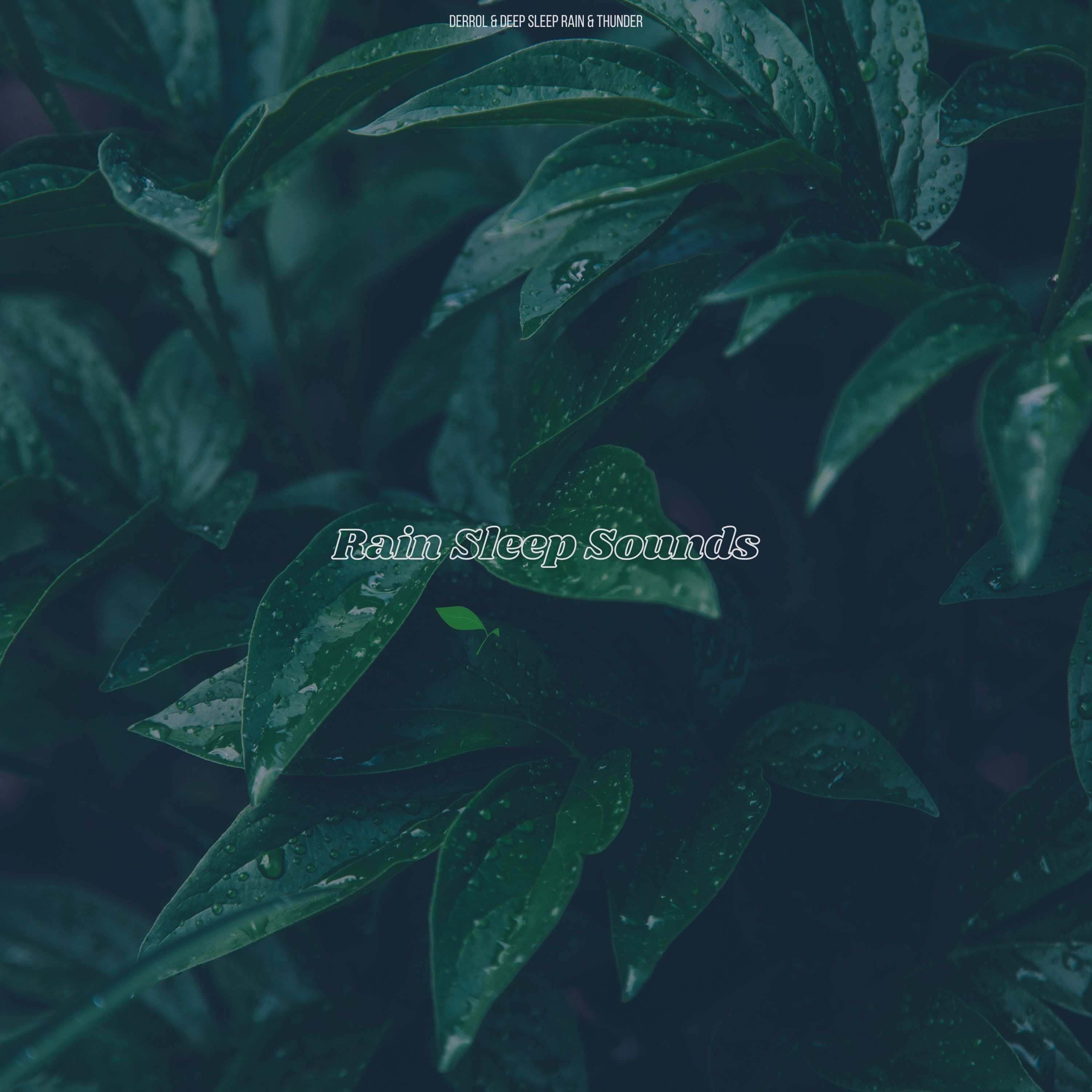 Rain Sleep Sounds album cover