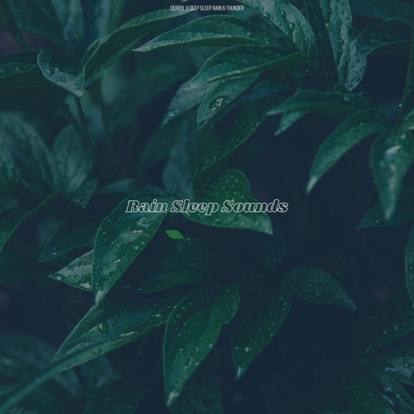 Rain Sleep Sounds album cover