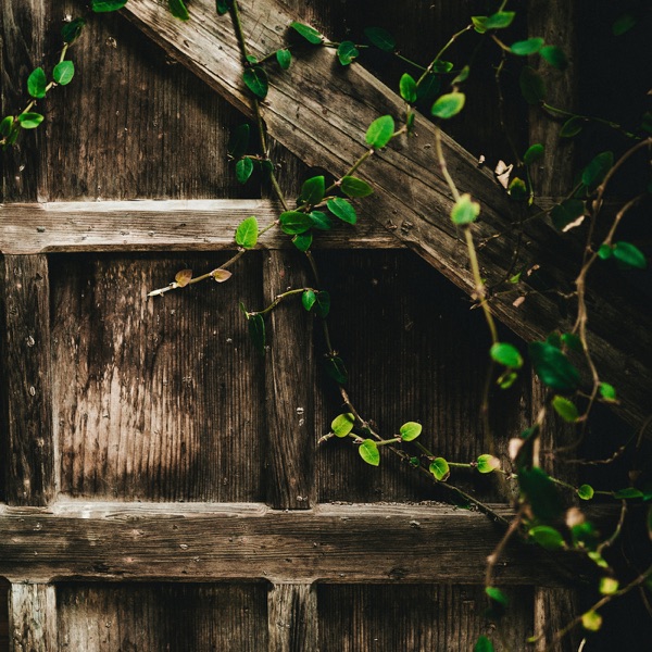 Lullaby of Remains - Single album cover