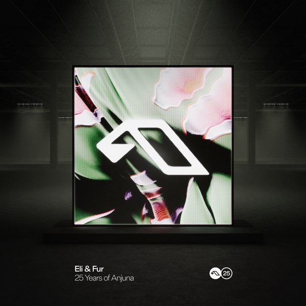 25 Years Of Anjuna Mixed By Eli & Fur album cover