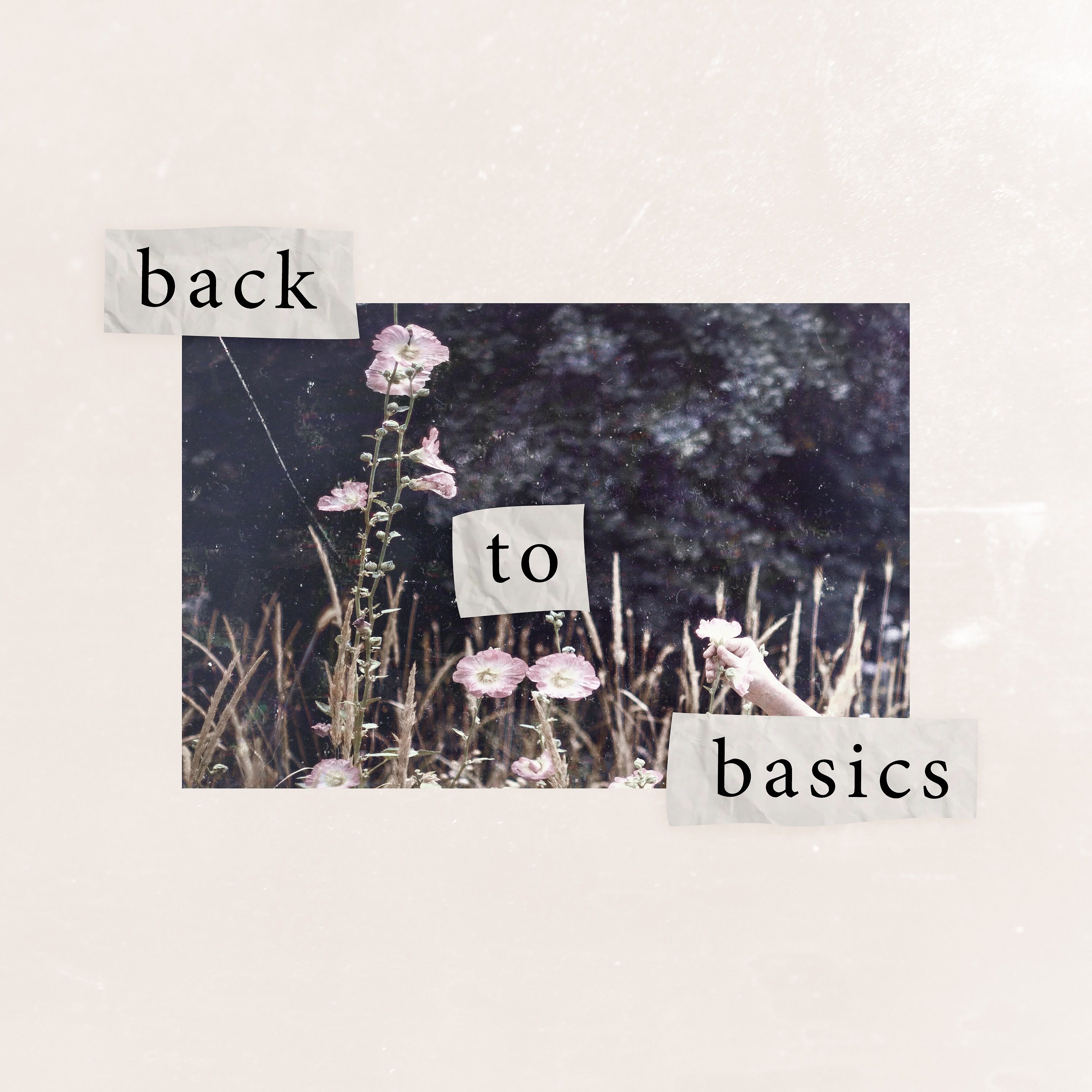 Back To Basics - EP album cover