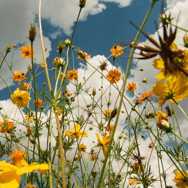 You Are Spring! album cover