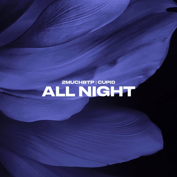 ALL NIGHT (feat. Cupid) - Single album cover