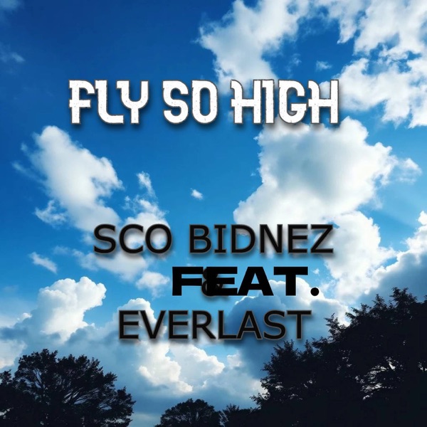 Fly so High (feat. Everlast) - Single album cover