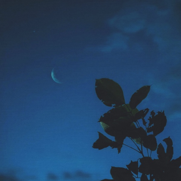 it's okay to rest - Single album cover