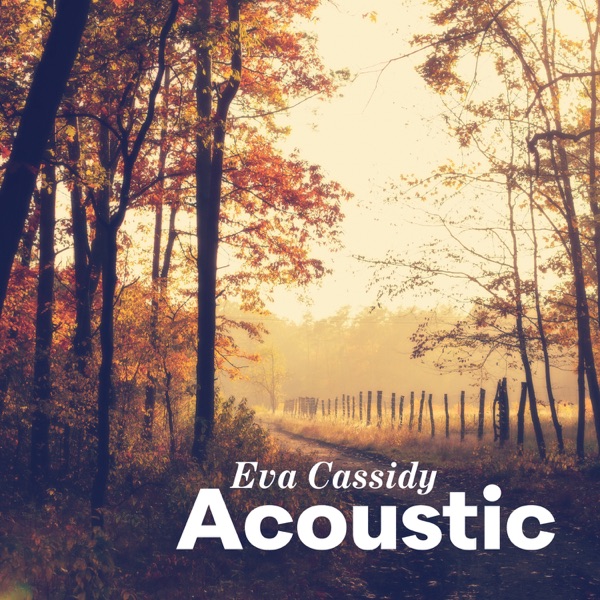 Acoustic album cover