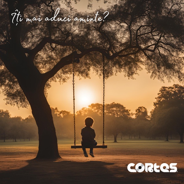 Îți mai aduci aminte? - Single album cover