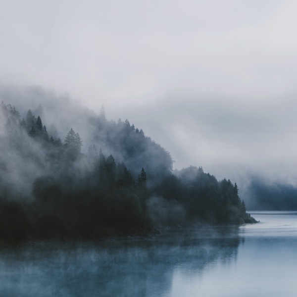 Perception album cover