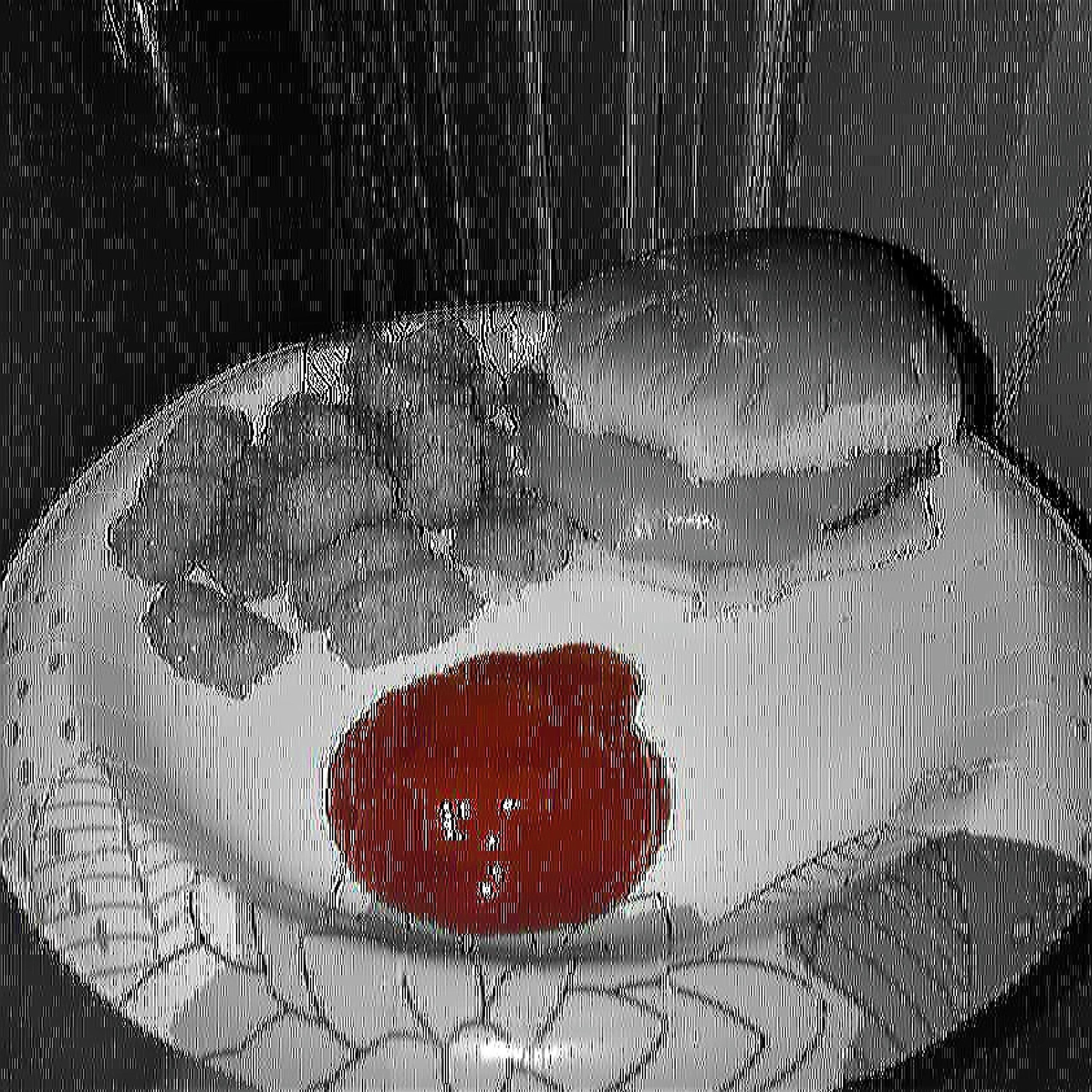 Revenge of the Catsup! - Single album cover