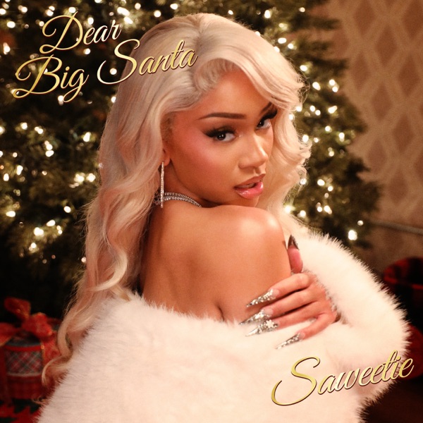 Dear Big Santa - Single album cover