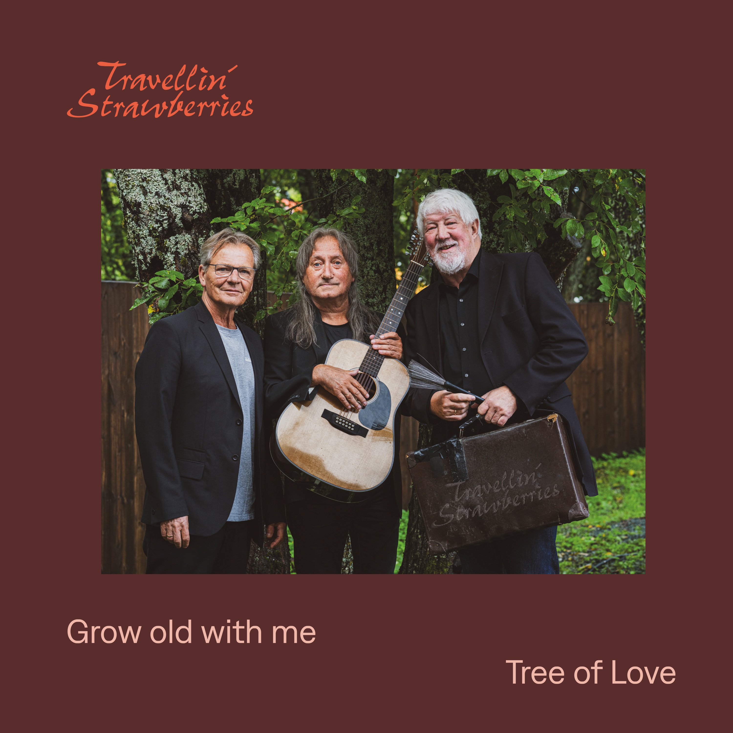 Grow Old With Me - Single album cover