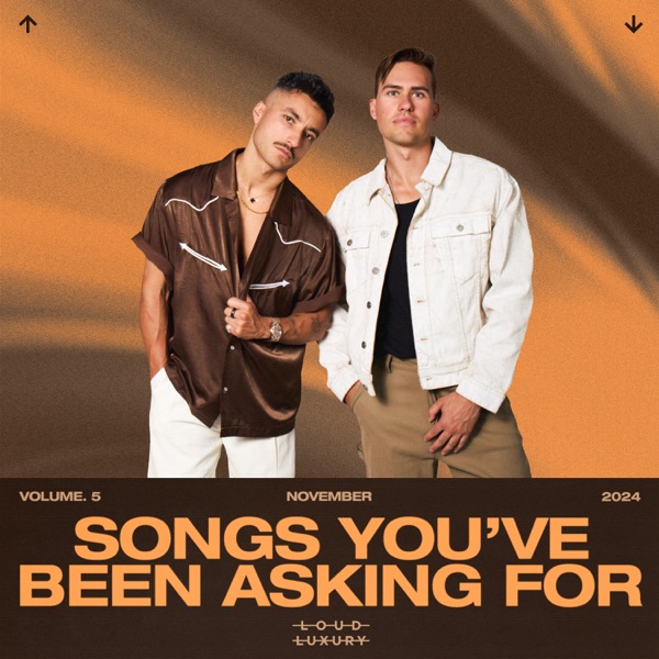 Songs You've Been Asking For, Vol. 5 (DJ Mix) album cover