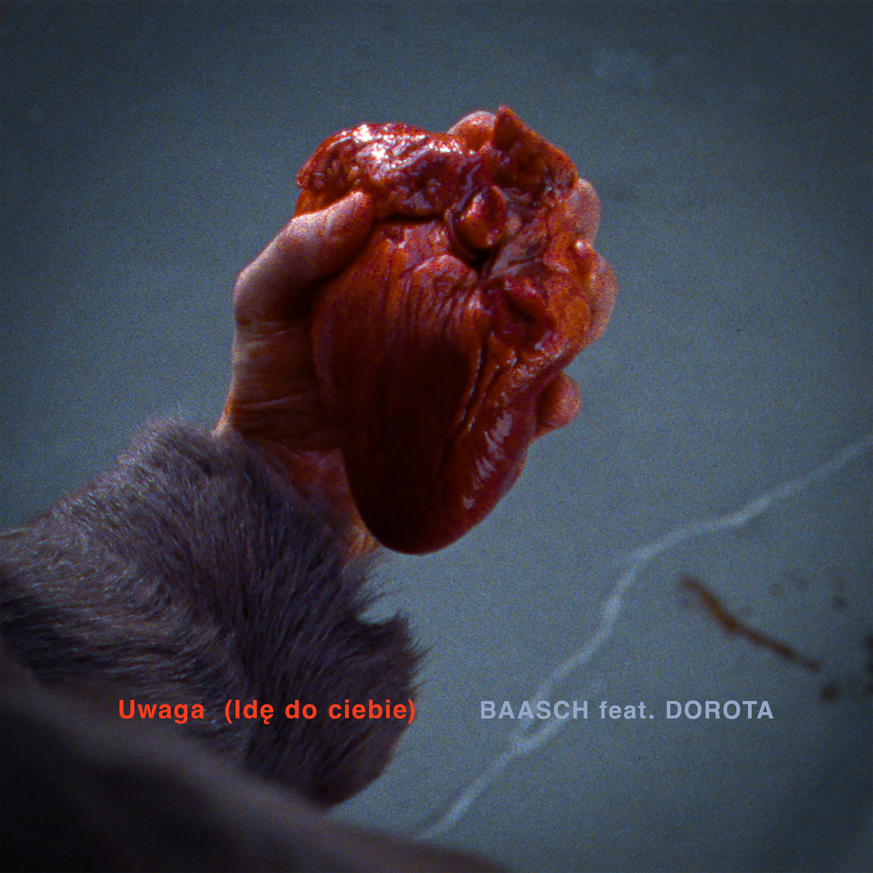 Uwaga (Idę do ciebie) - Single album cover