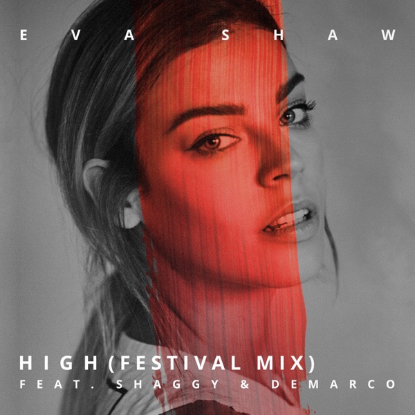 High (feat. Shaggy & Demarco) [Festival Mix] - Single album cover