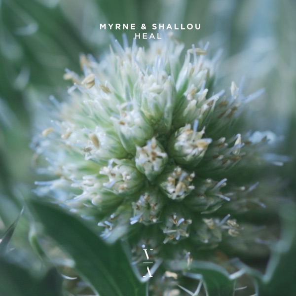 Heal album cover