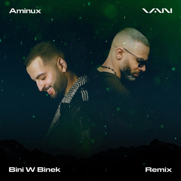 Bini W Binek (Remix) - Single album cover