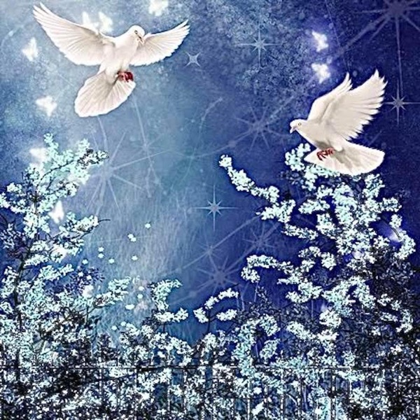 Best Friend (feat. ggneeks) - Single album cover