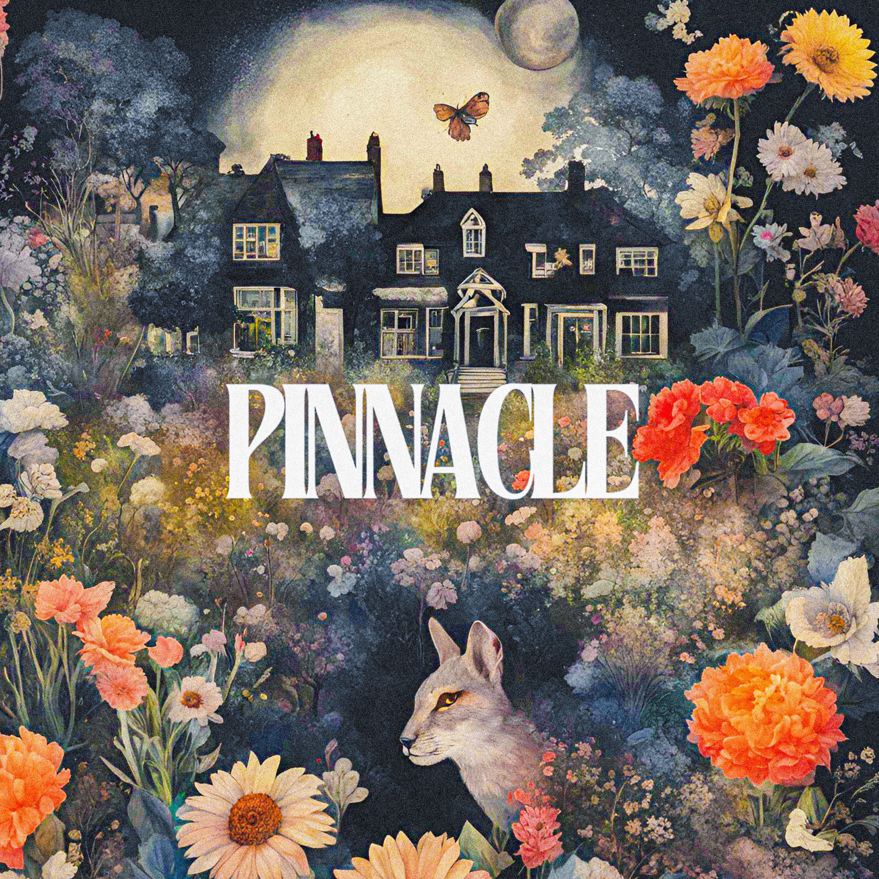 Pinnacle - Single album cover
