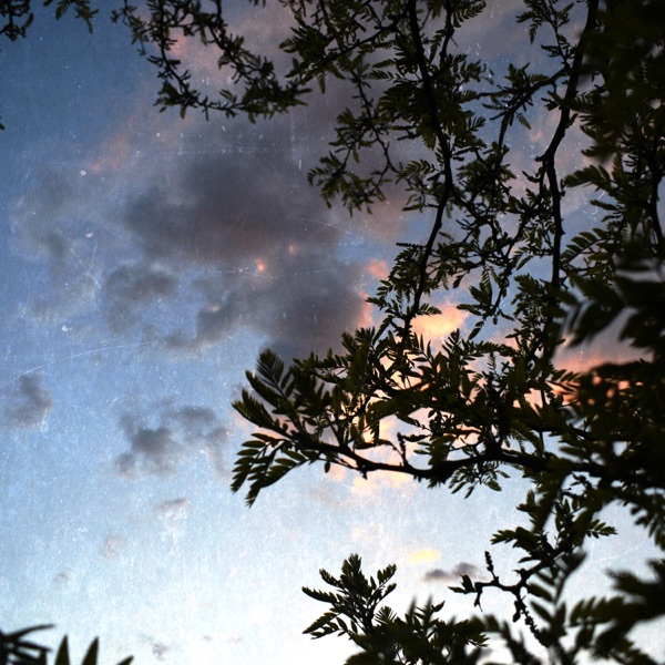 Benjamin Godard: Romance sans Paroles, Feuillet d'Album - Single album cover