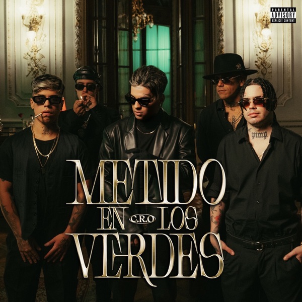 Metido en los verdes - Single album cover