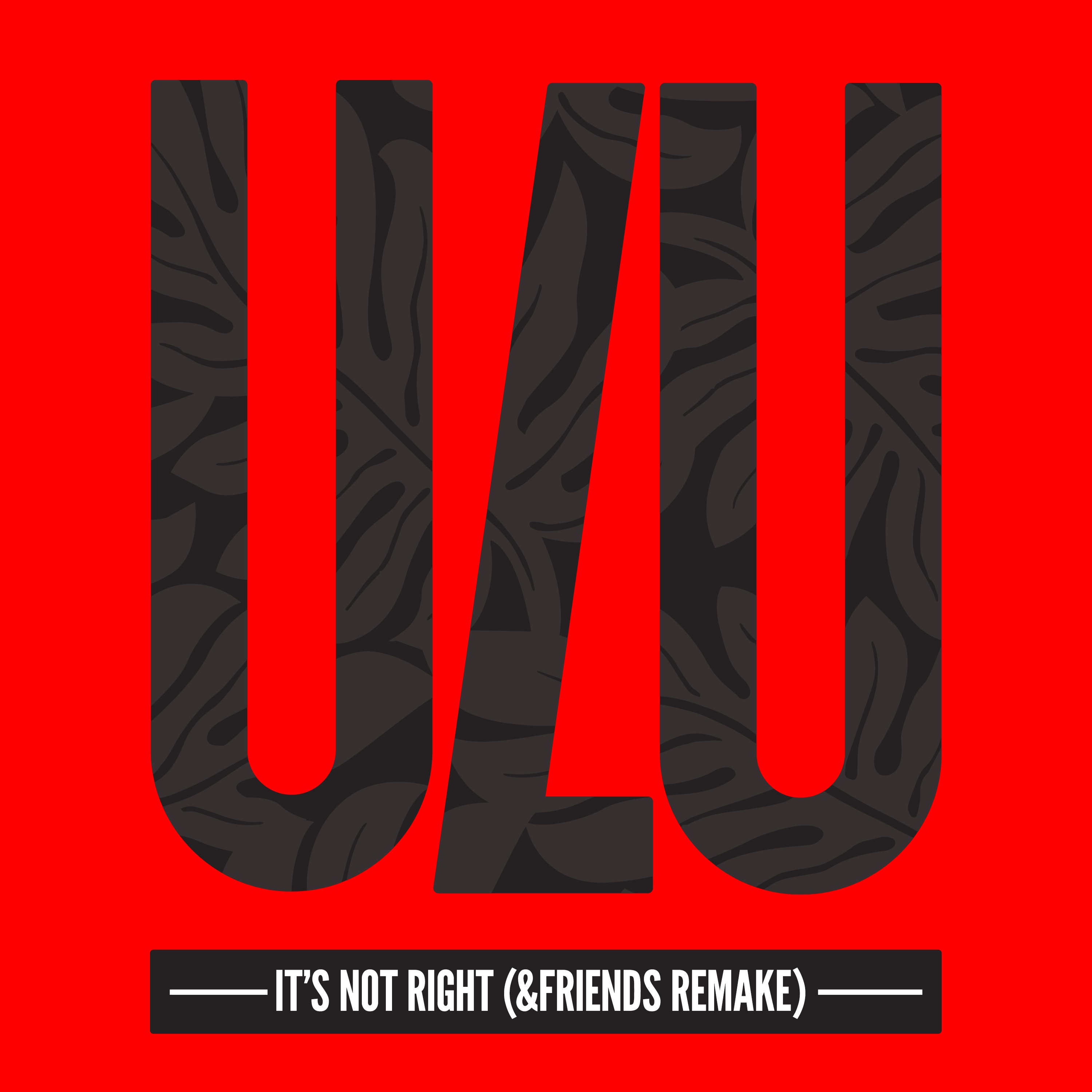 It's Not Right (&friends Remake) [feat. Helen Tesfazghi] [Radio Edit] - Single album cover