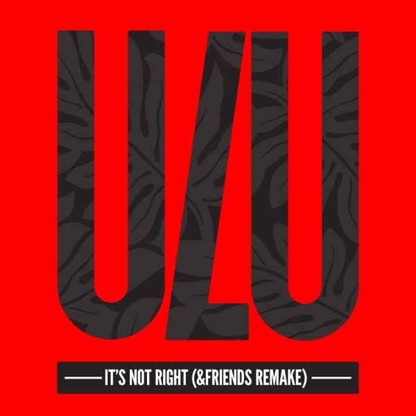 It's Not Right (&friends Remake) [feat. Helen Tesfazghi] [Radio Edit] - Single album cover