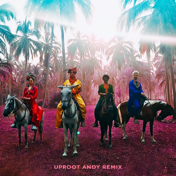 Playa Grande (Uproot Andy Remix) - Single album cover