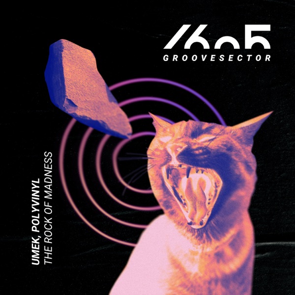 The Rock of Madness - Single album cover