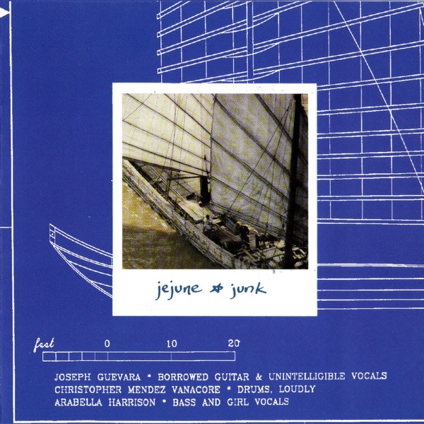 Junk album cover