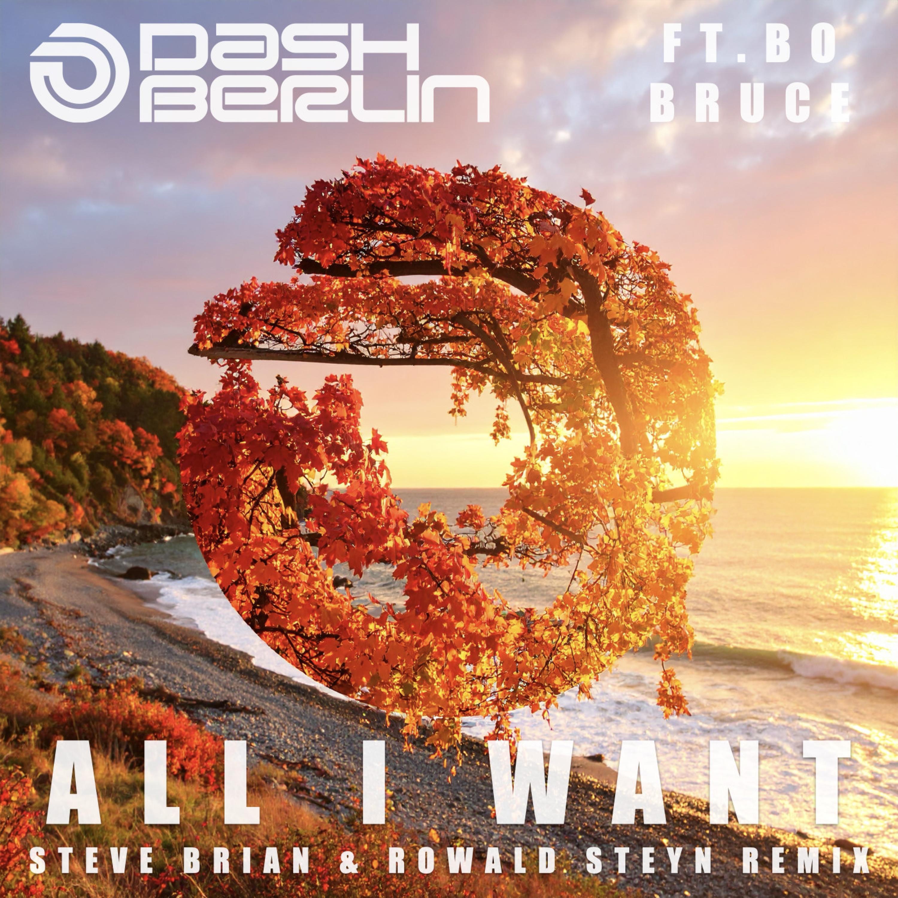 All I Want (feat. Bo Bruce) [Steve Brian & Rowald Steyn Remix] - Single album cover