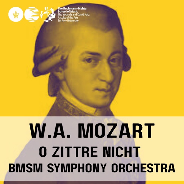 Queen of the Night O zittre nicht (feat. Zubin Mehta & Beata Lipska) - Single album cover