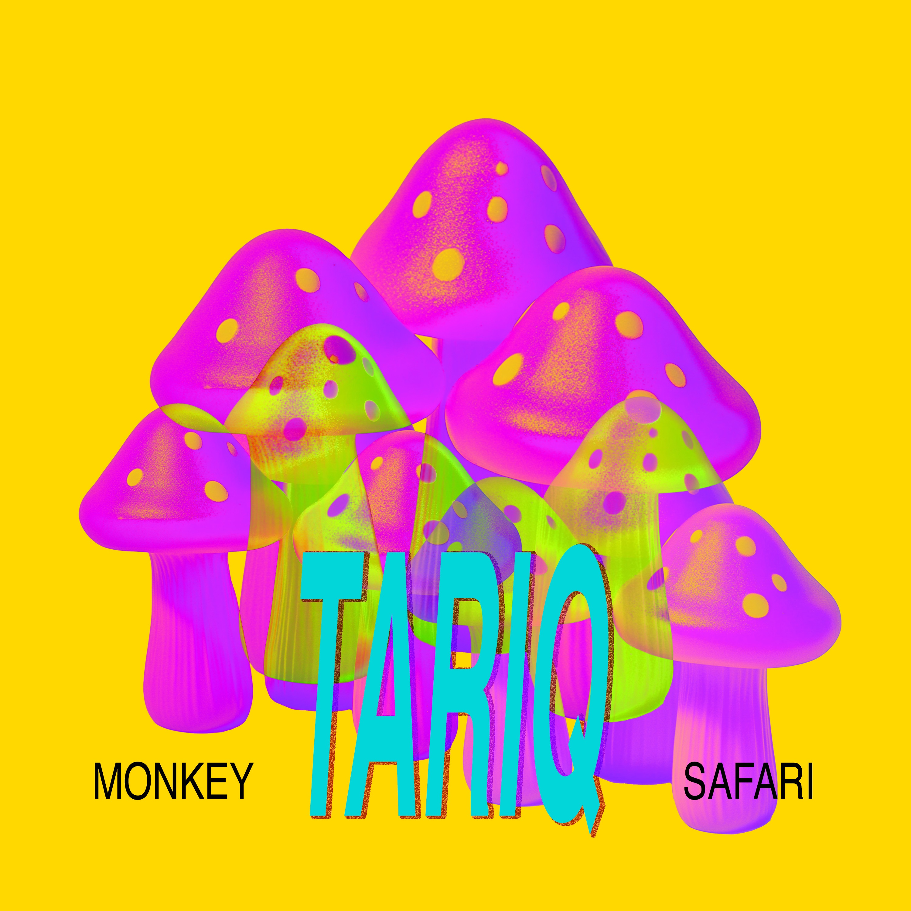 Tariq - Single album cover