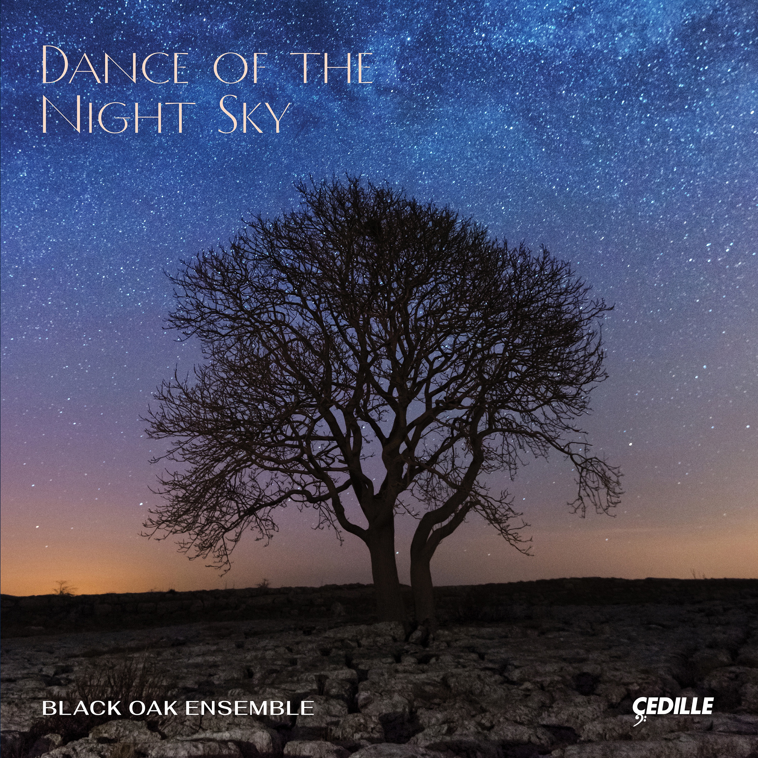 Dance of the Night Sky album cover